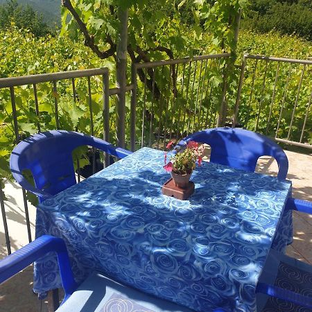 Mijailovic Apartmani Kaluđerac Dış mekan fotoğraf