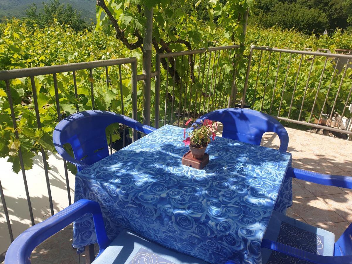 Mijailovic Apartmani Kaluđerac Dış mekan fotoğraf