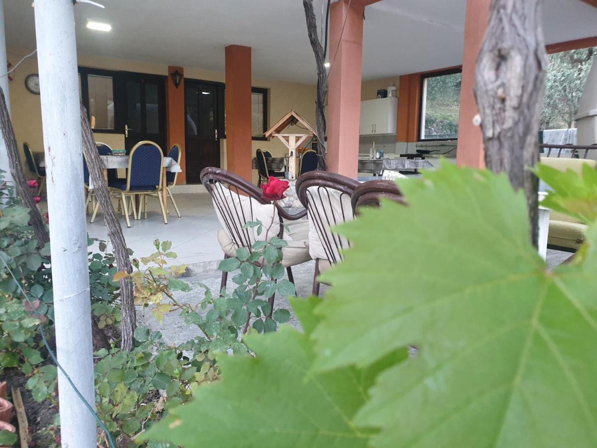 Mijailovic Apartmani Kaluđerac Dış mekan fotoğraf