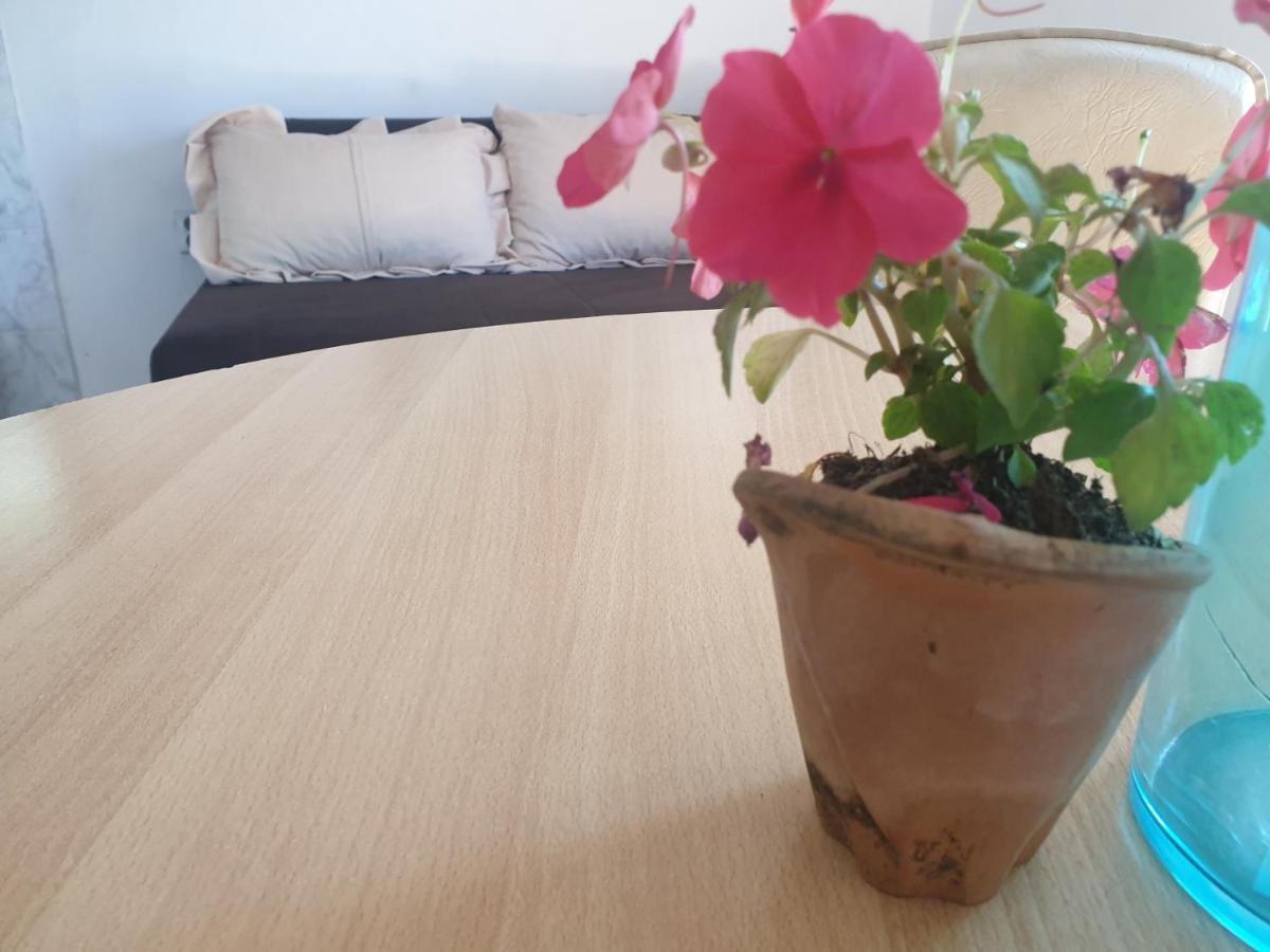 Mijailovic Apartmani Kaluđerac Dış mekan fotoğraf